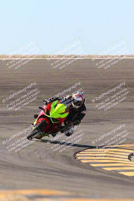 media/Jan-13-2024-SoCal Trackdays (Sat) [[9c032fe5aa]]/Bowl Exit Set 2 (1135am)/